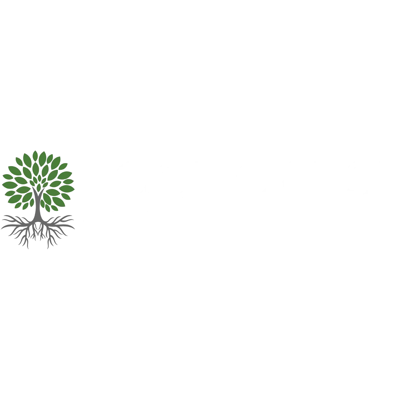 ROOT CAUSE LLC