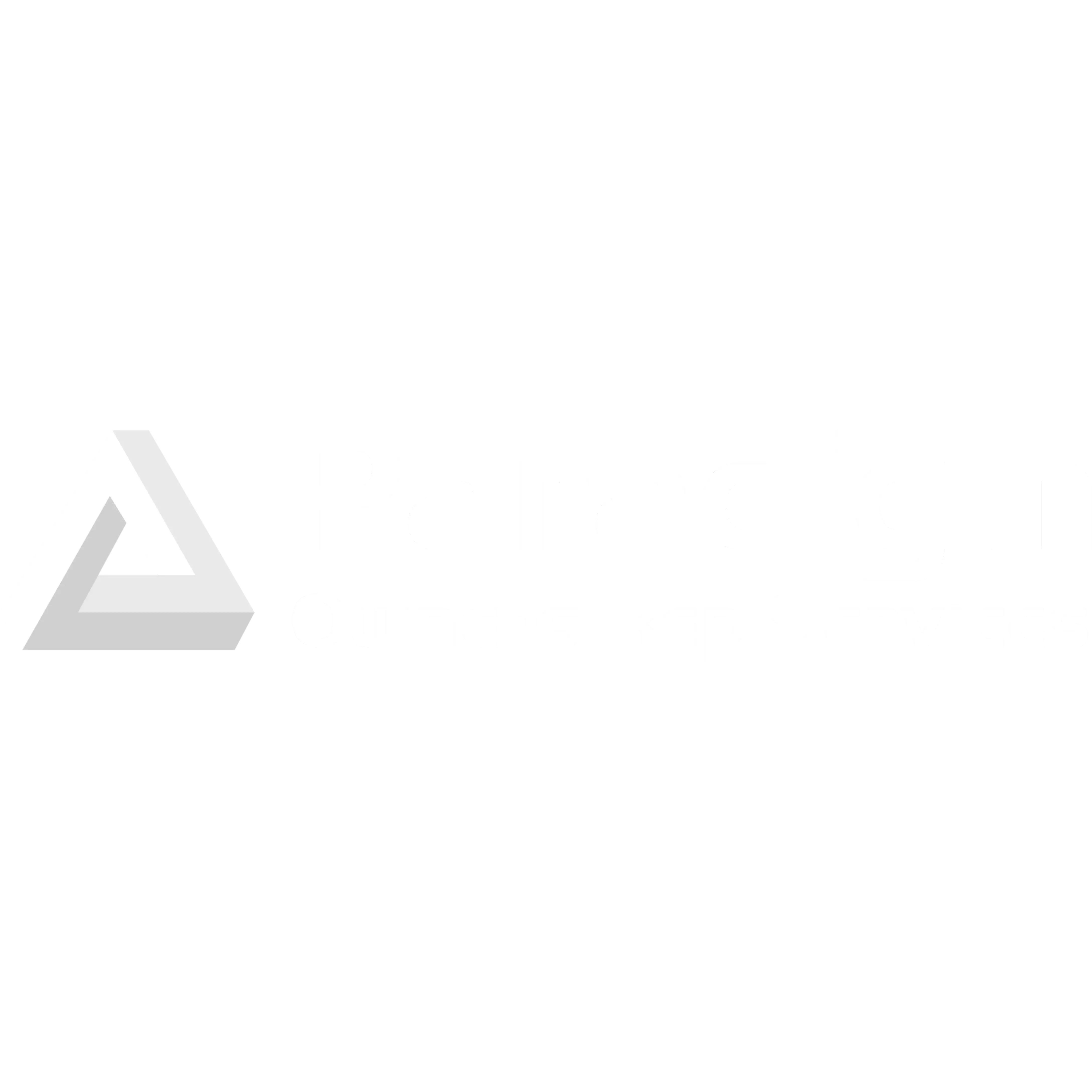 PARADIGM OF IDAHO INC