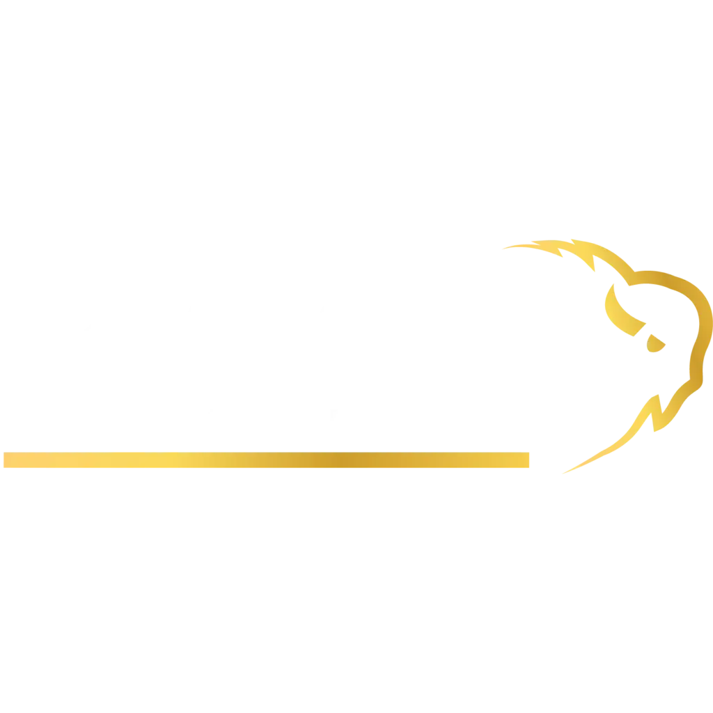 BISON Restoration Services