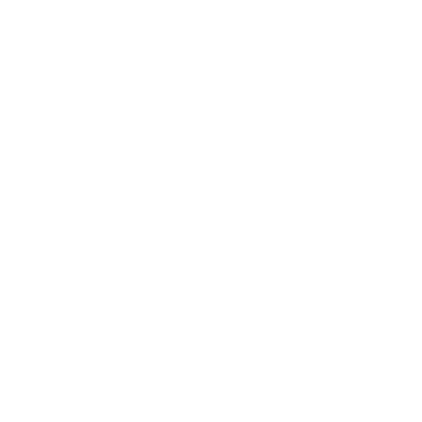 Atlanta Porter Services