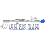 LOSI PRO WASH LLC