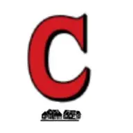 CITY ELECTRIC SERVICE INC