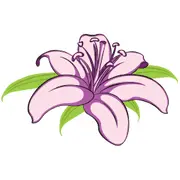 Marco Island Florist, Inc.