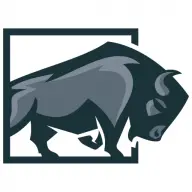 BISON BUILDERS LLC