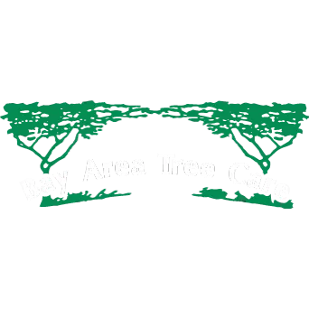 Bay Area Tree Care