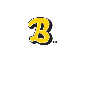 BARINEAU HEATING AND AIR CONDITIONING INC