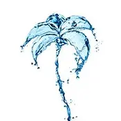 Premier Paradise Inc
