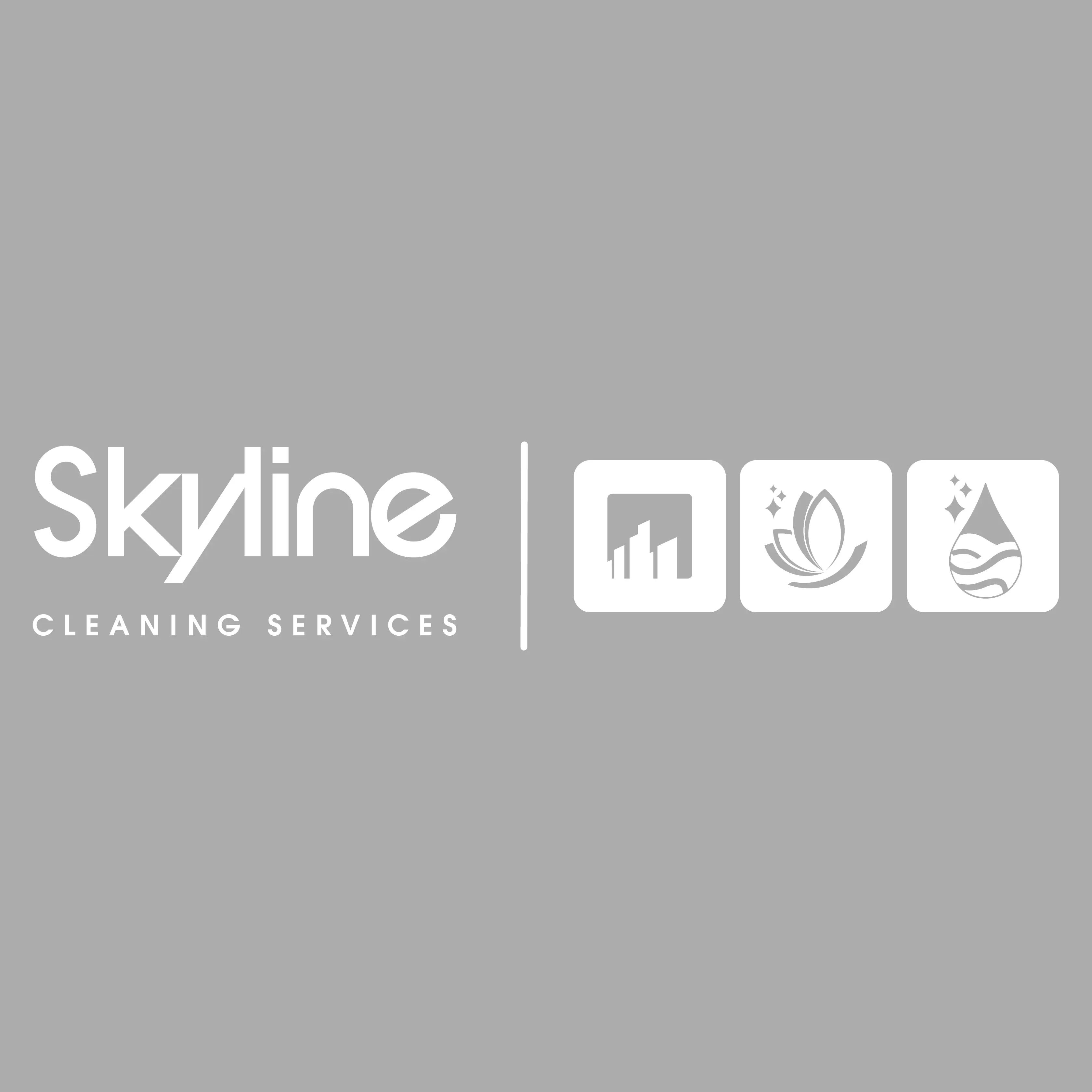 Skyline Services, Inc