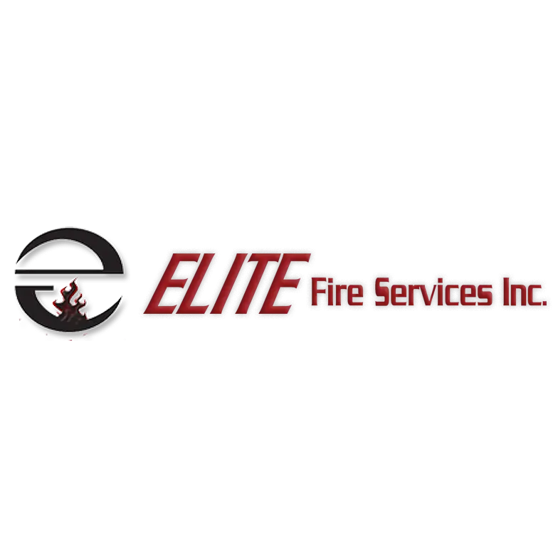 ELITE FIRE SERVICES INC