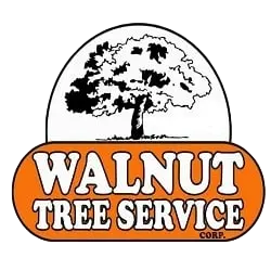 Walnut Tree Service