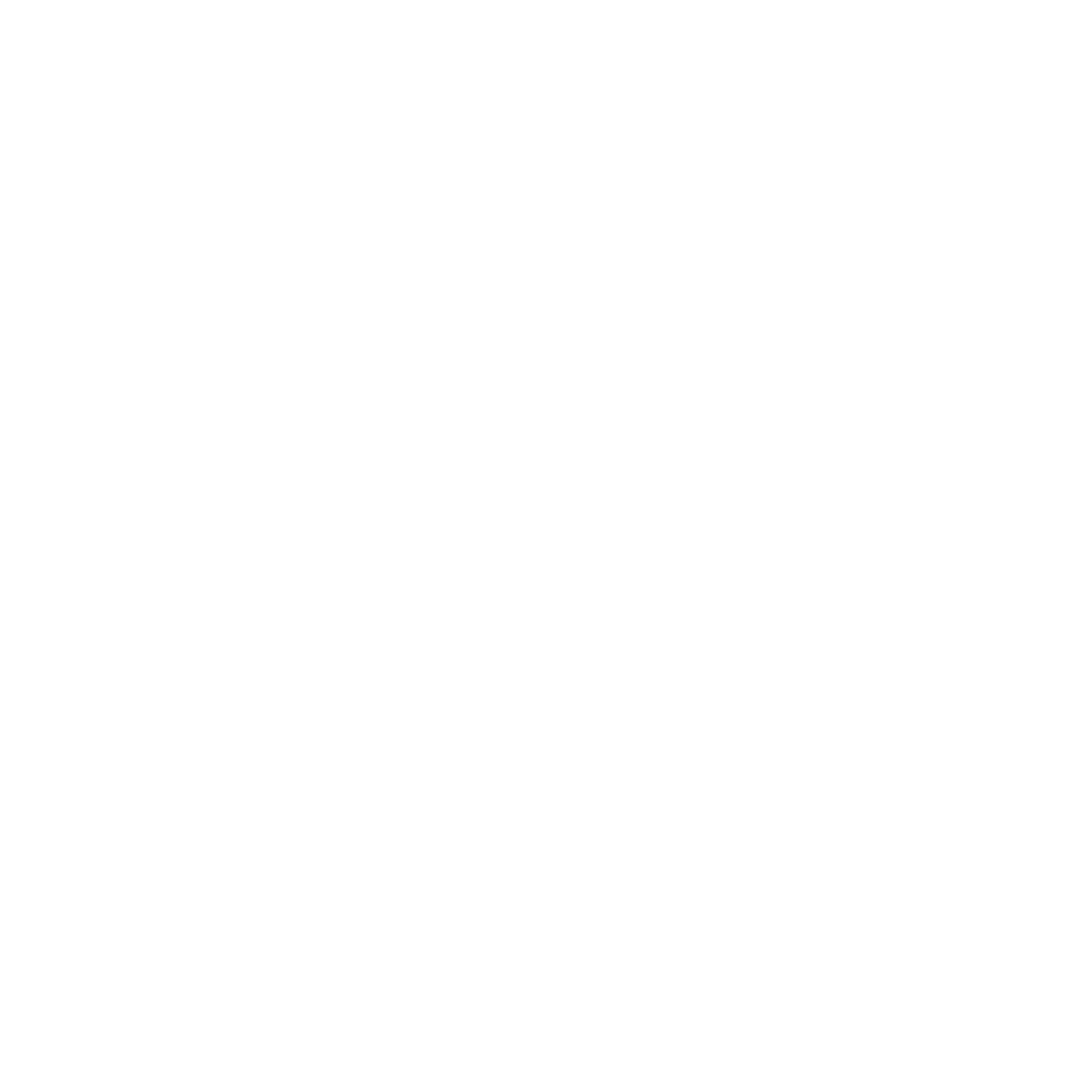 Nouveau Elevator