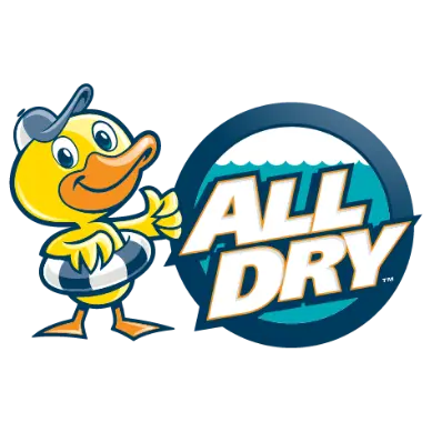 All Dry Services