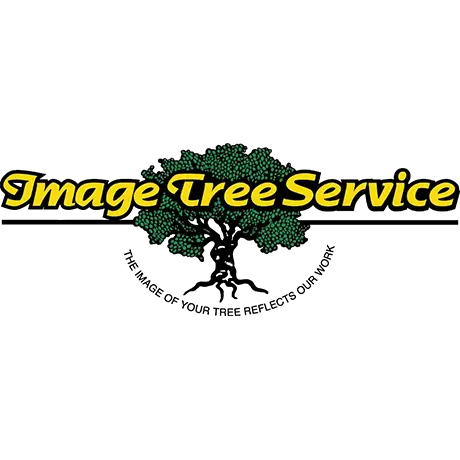 IMAGE TREE SERVICE INC