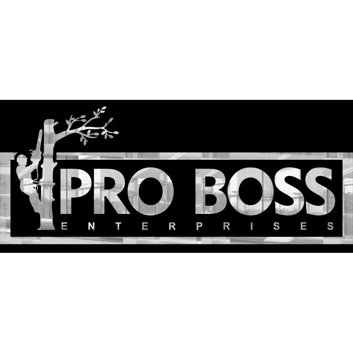 PRO BOSS ENTERPRISE
