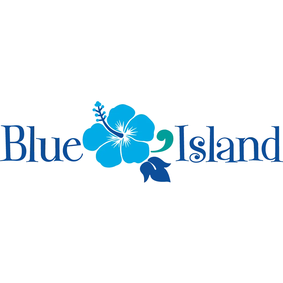 BLUE ISLAND LANDSCAPE LIGHTING AND IRRIGATION SOLUTIONS LLC