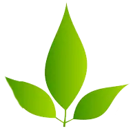 EVERGREEN GARDEN SOLUTIONS LLC