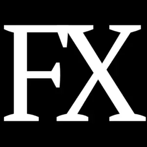FLOORING FX INC