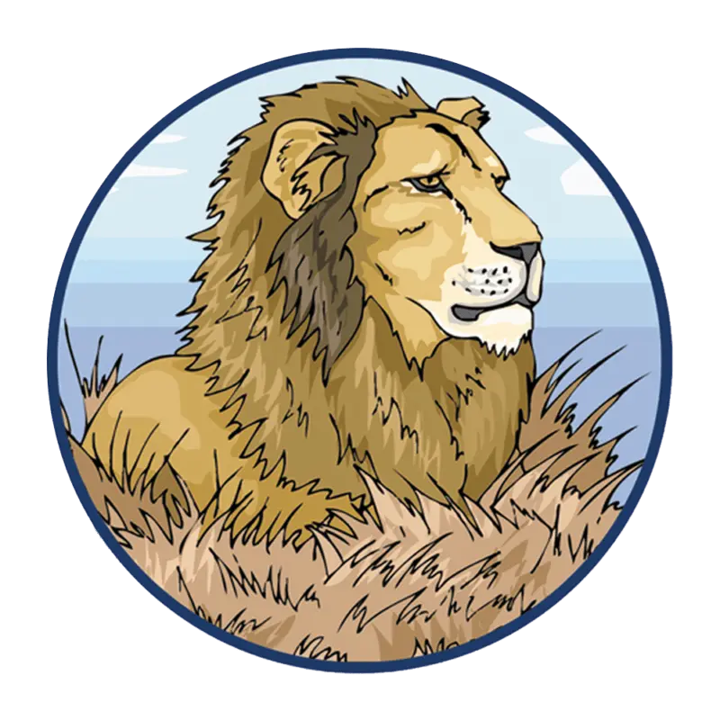 LION RIVER DEVELOPMENT INC