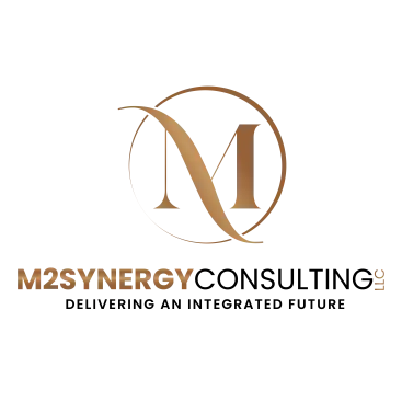 M2SYNERGY CONSULTING LLC