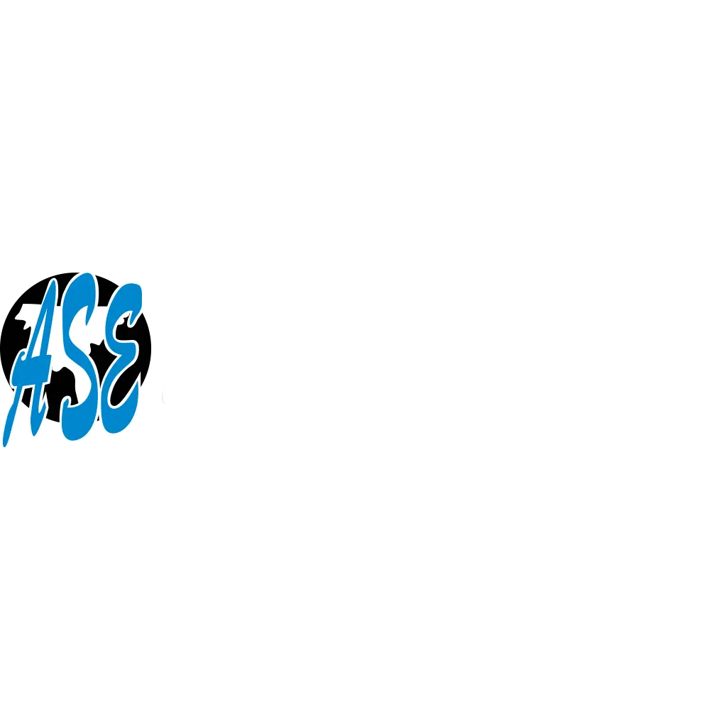 All South Electric