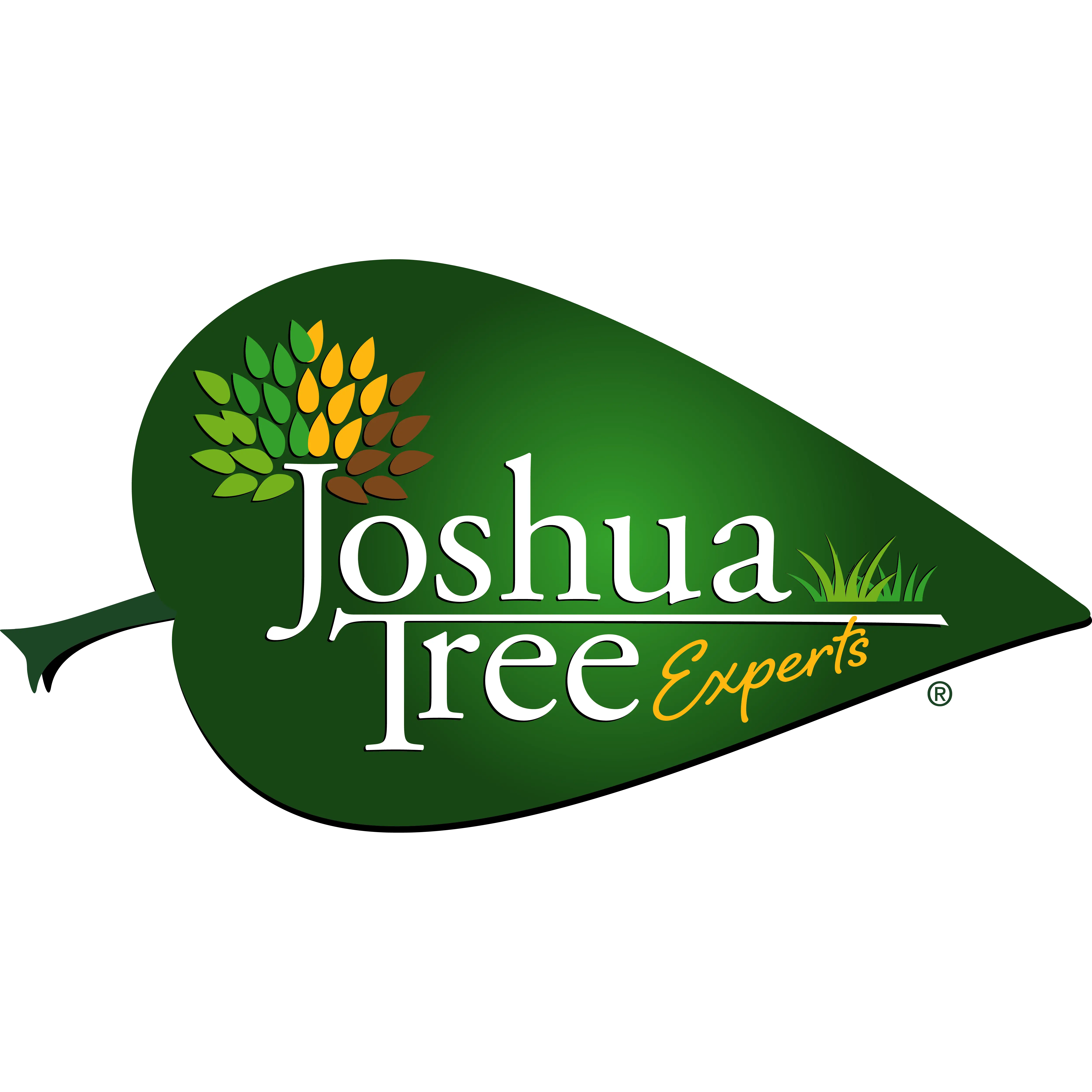 Joshua Tree Experts