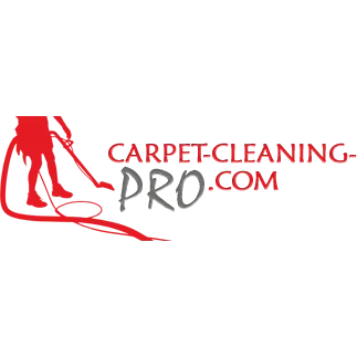 Carpet Cleaning Pro