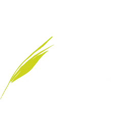 TAHOE OUTDOOR LIVING