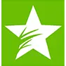 Lone Star Synthetic Turf