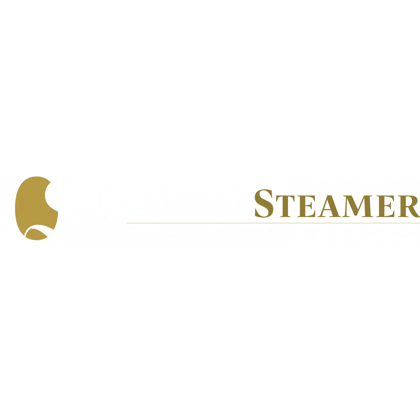 Quality Steamer