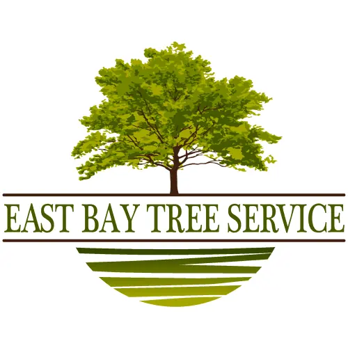 EAST BAY TREE SERVICE
