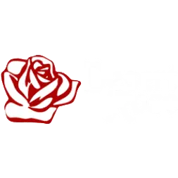 Desert Rose Carpet Cleaning