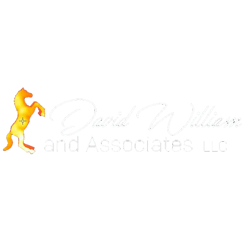 DAVID WILLIAM & ASSOCIATES LLC