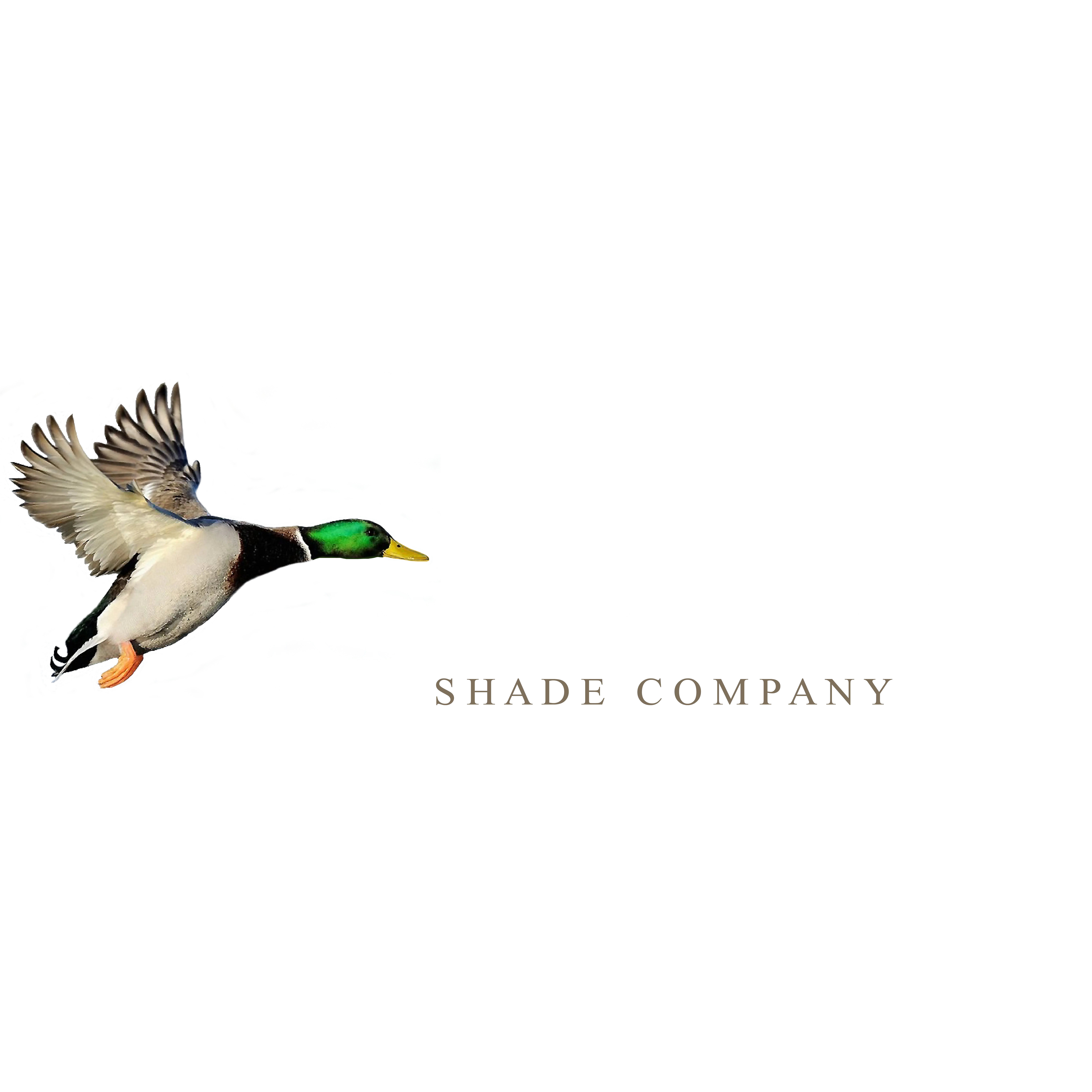 River Dean Shade Company