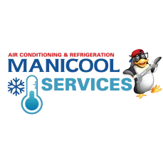 MANICOOL SERVICES INC