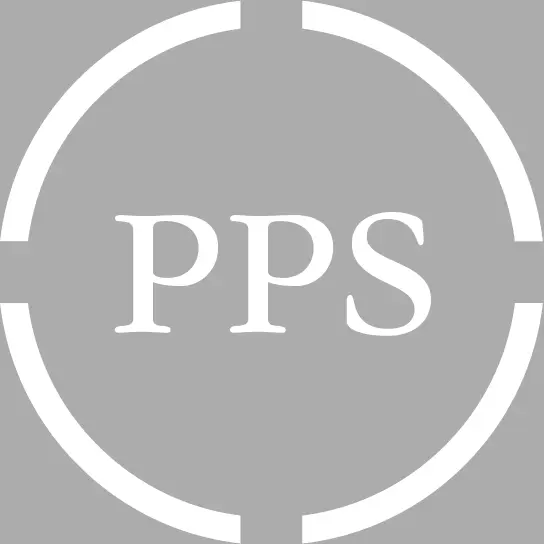 PANHANDLE POWER SOLUTIONS LLC
