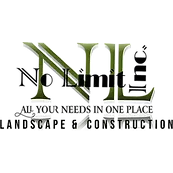 NO LIMIT HANDYMAN SERVICES INC