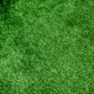 Wilmington Artificial Turf Pros