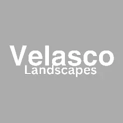 Velasco Landscapes