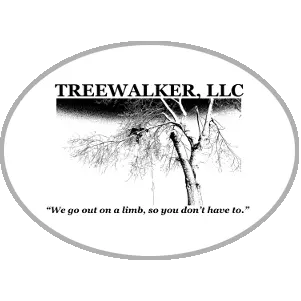 Treewalker LLC