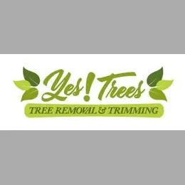 YES! TREE CARE LLC