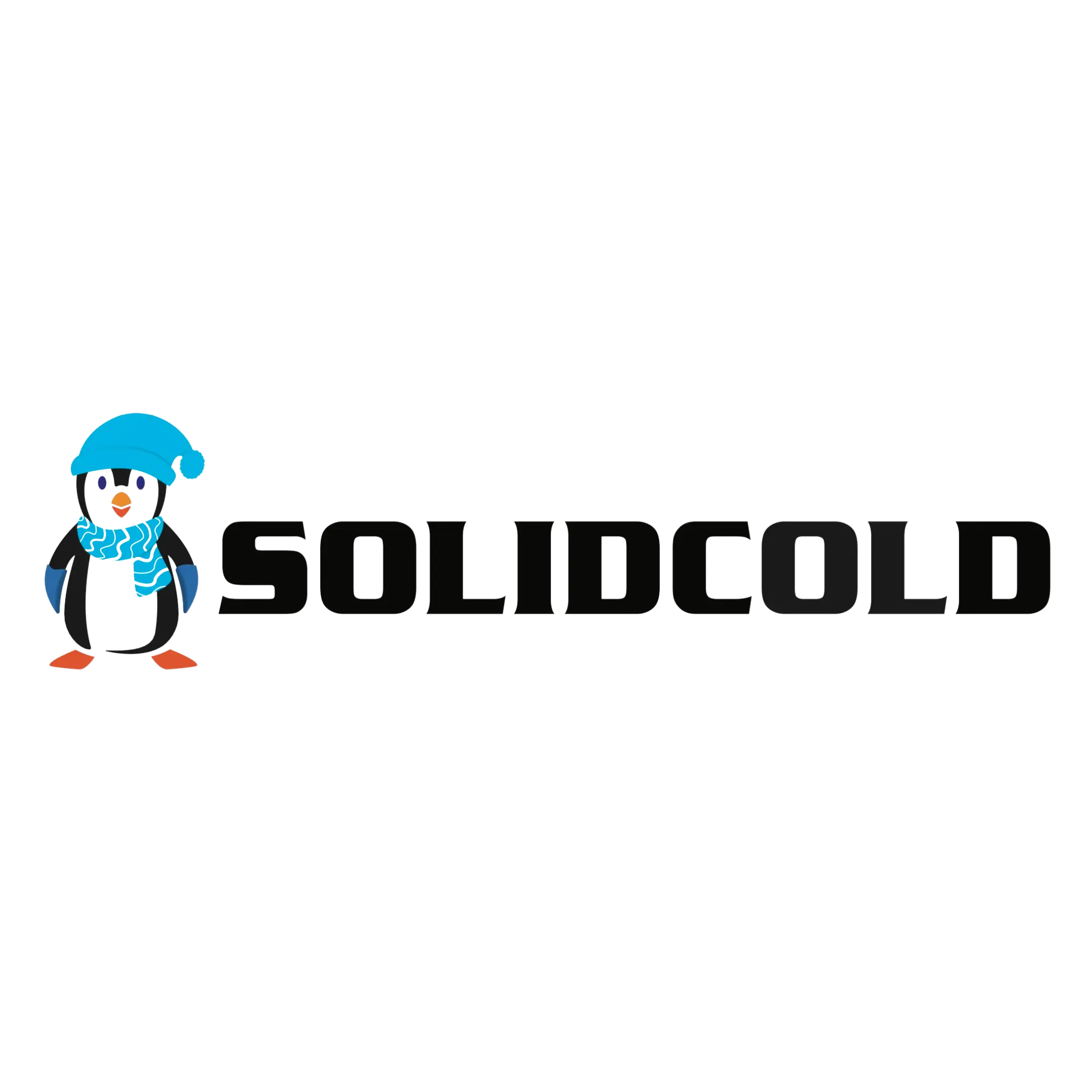 SOLIDCOLD CORPORATION