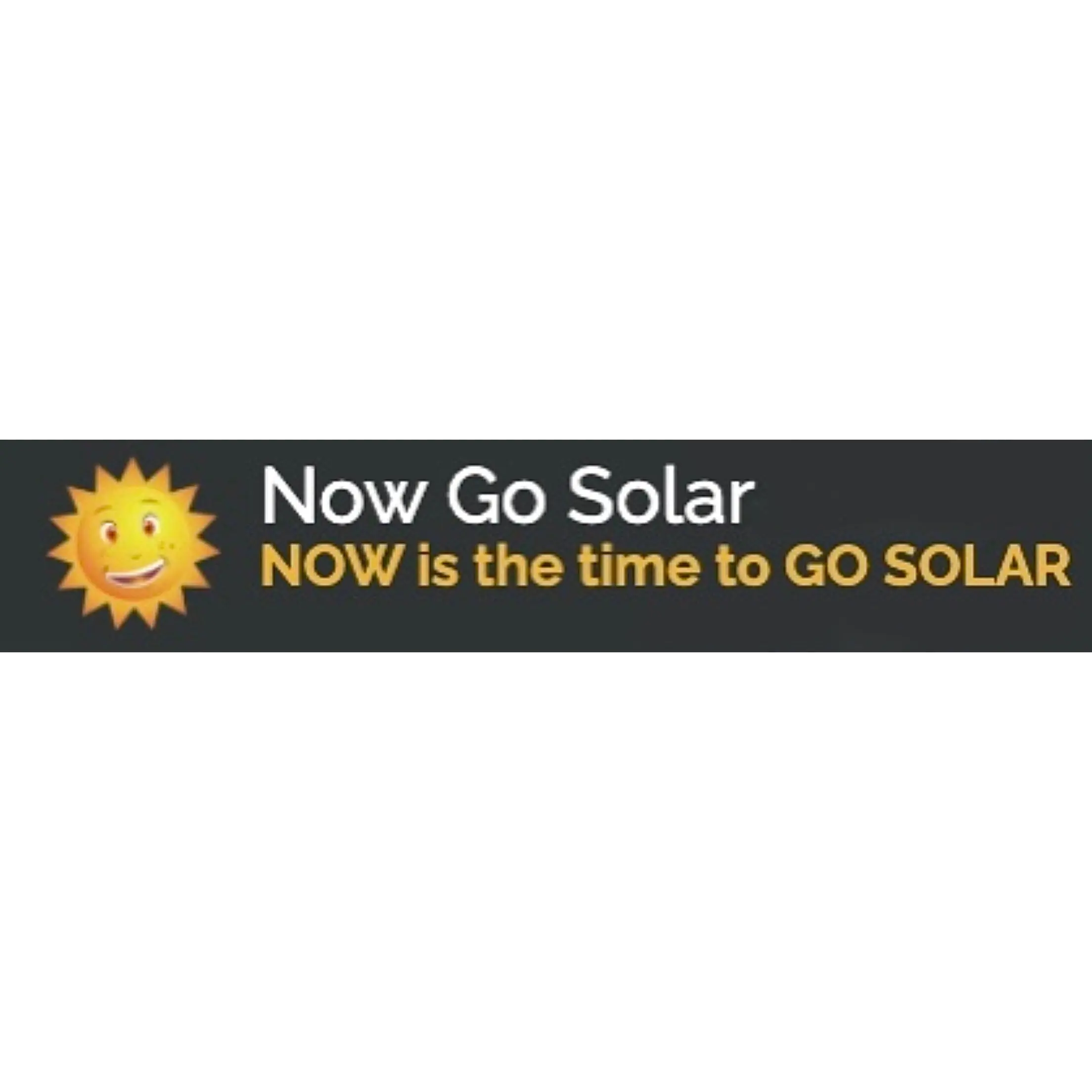 NOW GO SOLAR INC
