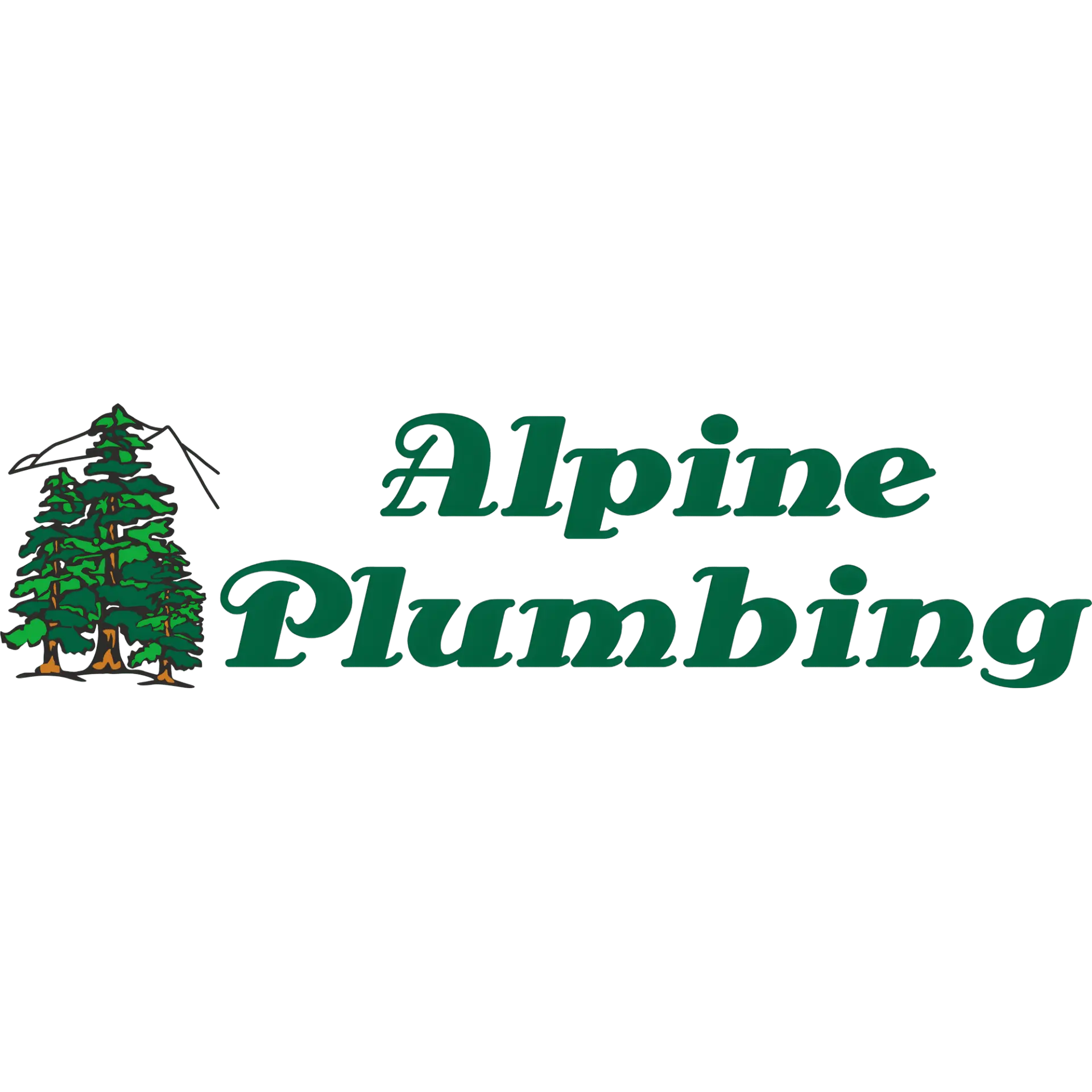 ALPINE PLUMBING SERVICES INC
