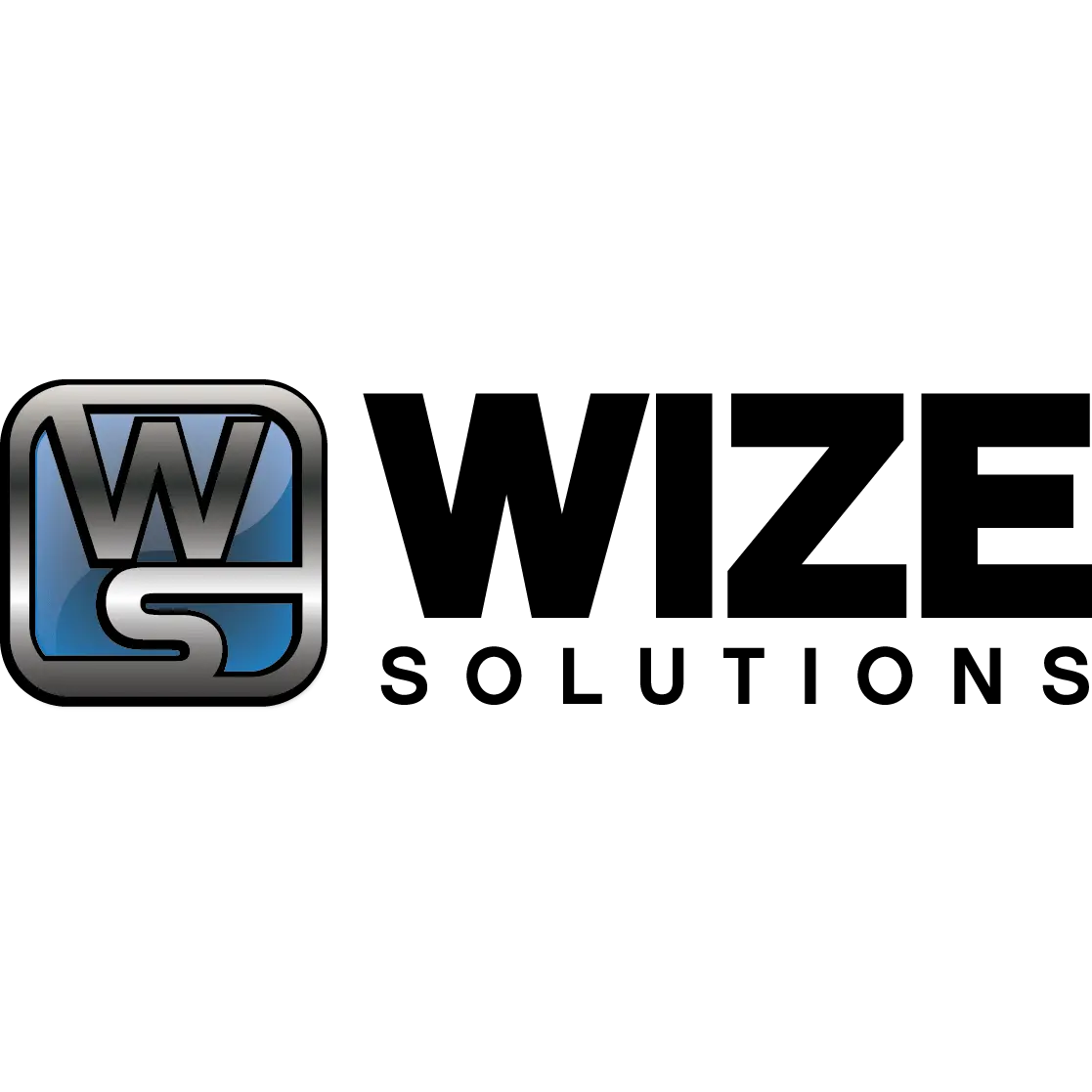 WIZE SOLUTIONS INC
