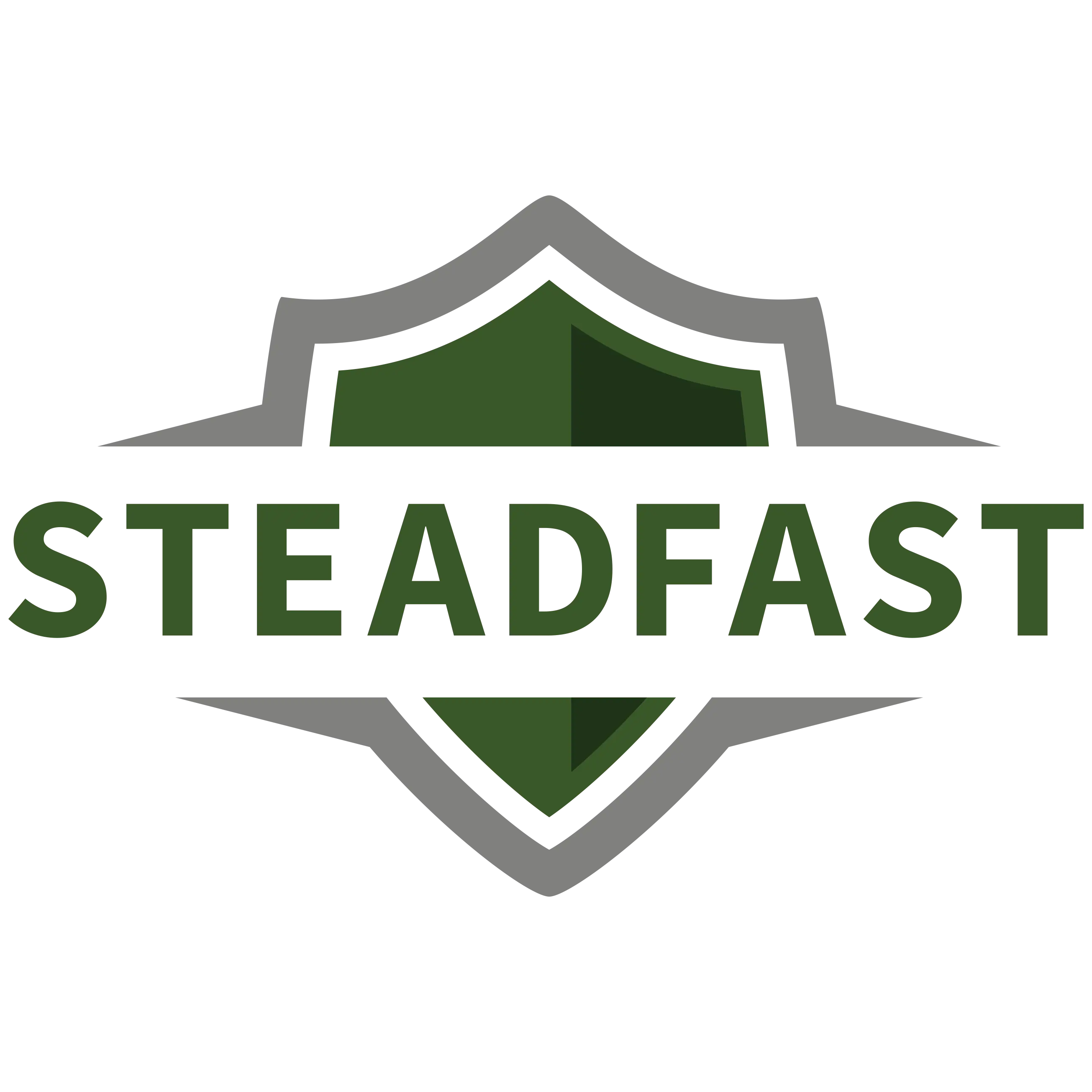 STEADFAST CONTRACTORS ALLIANCE LLC