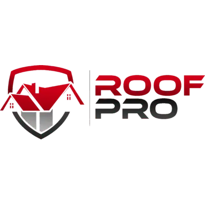 ROOF PRO INC