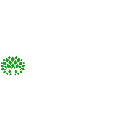 Trey's Landscape Services