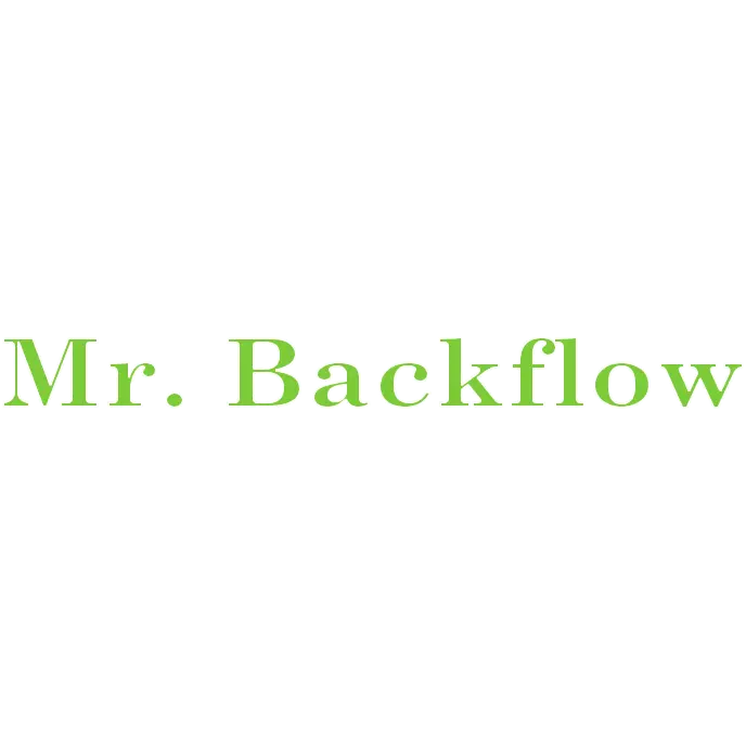 MR BACKFLOW