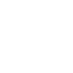 Summit Reconstruction