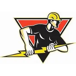 VOLTAGE ELECTRIC SERVICES INC